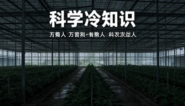 如何利用信息获取提升生活体验